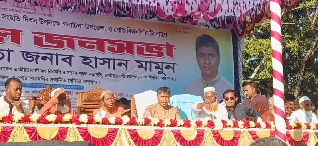 গলাচিপায় জাতীয় বিপ্লব ও সংহতি দিবসে বিশাল জনসভা